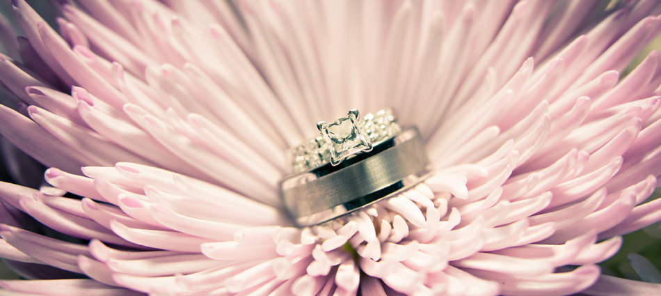 Mostardi Photography | Photographers West Chester PA Mostardi Photography | Photographers West Chester PA: slideshow photograph 2