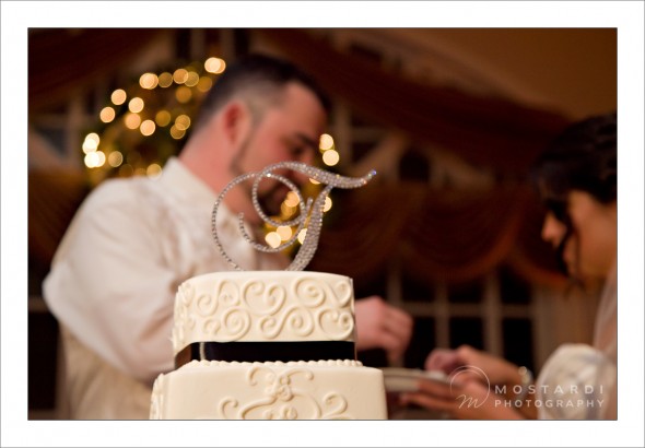 bucks county wedding photographers