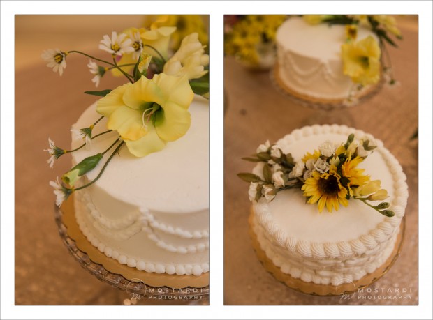 Harrisburg Wedding Photographer - Mostardi Photography - Barbara & George's Wedding Cake