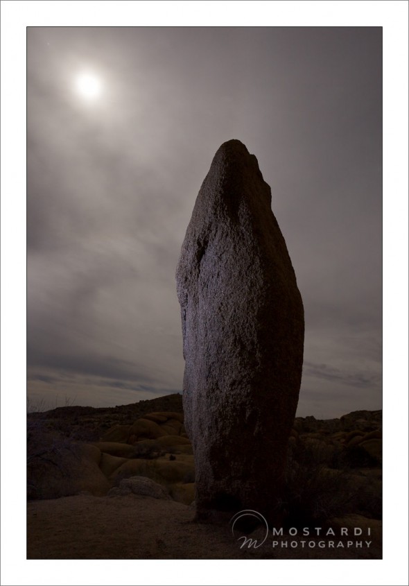 philadelphia photographers joshua tree pictures