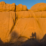Camping in Joshua Tree National Park, CA