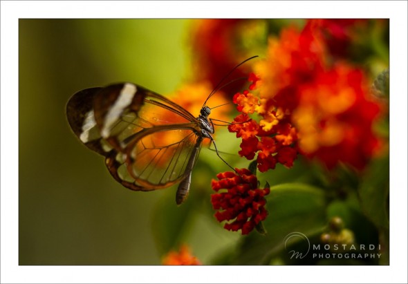 travel_2012_02