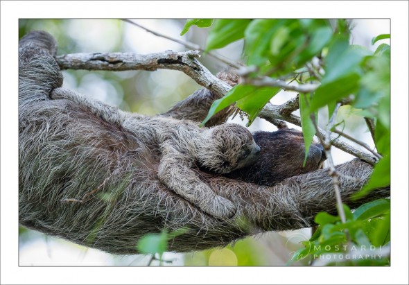 travel_2012_09