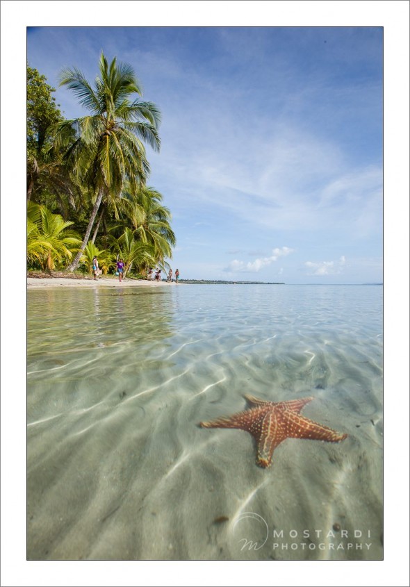 travel_2012_15