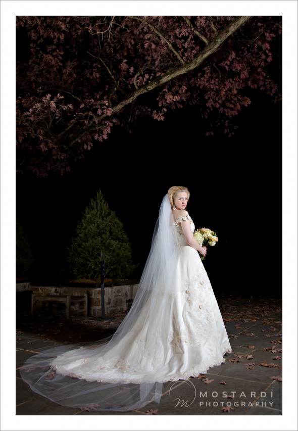 wilmington delaware wedding photographers